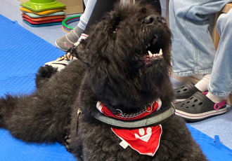 Grace – unsere Schulhündin