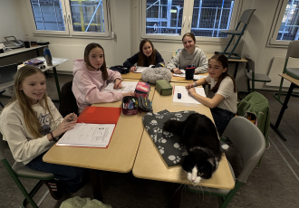 Pilotprojekt Schulkatzen